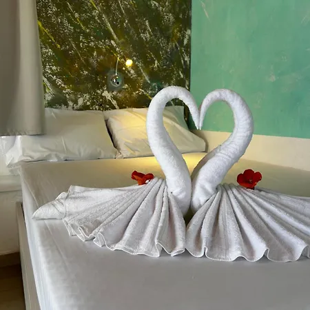 New Palm Hive - Cherso